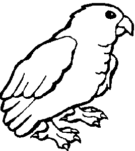 parrot